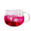 INS Nordic Water Cup Female Glass Goodmorning Cup Morning Breakfast Cup Milk Cup Student