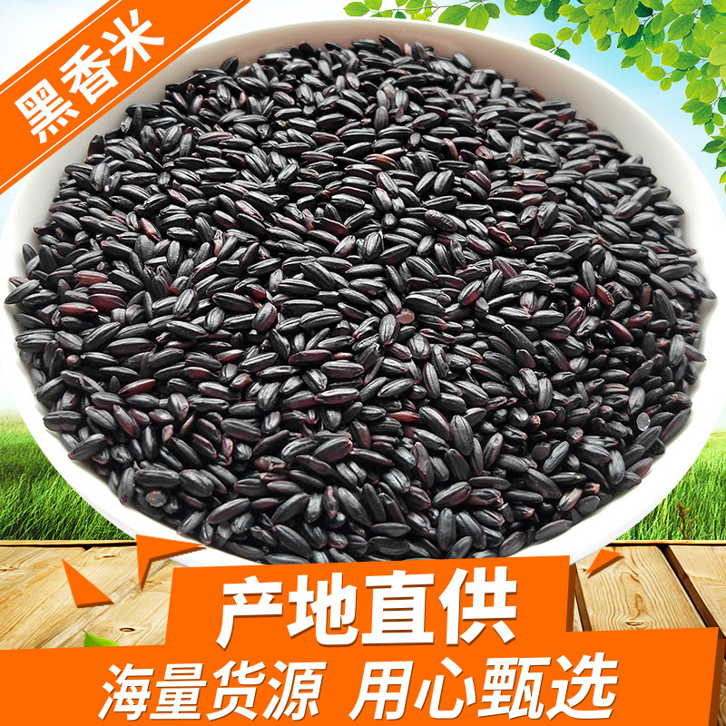 黑香米黑米无染色东北黑糙米25kg黑粮粥原料散装杂粮批发黑大米