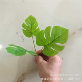 仿真植物仿真花叶配件 三叉绿萝龟背叶 过胶布叶子 把花绿植配件