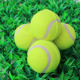 宠物网球玩具 二级狗狗网球 微弹力训犬球 泰迪训练用玩具球用品