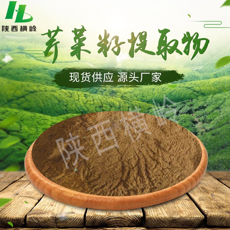 芹菜籽粉原料 50:1规格芹菜籽提取物 植物芹菜籽萃取原料粉