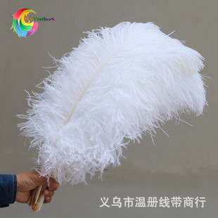 �؃���ë�F؛������ɫ�r�Bë75-80cm��ë����c��̨�ݳ���