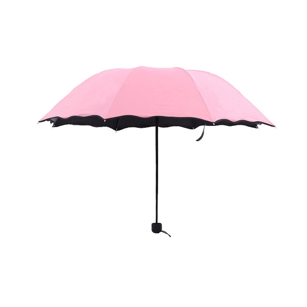 Umbrella