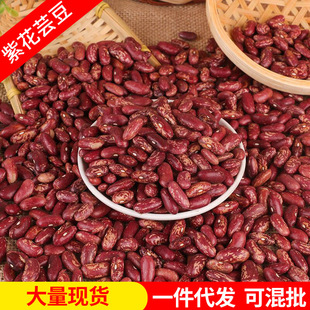 ���l�|���ϻ�ܿ���r����ܿ�������t��������s�Z��녶��t��ܿ��