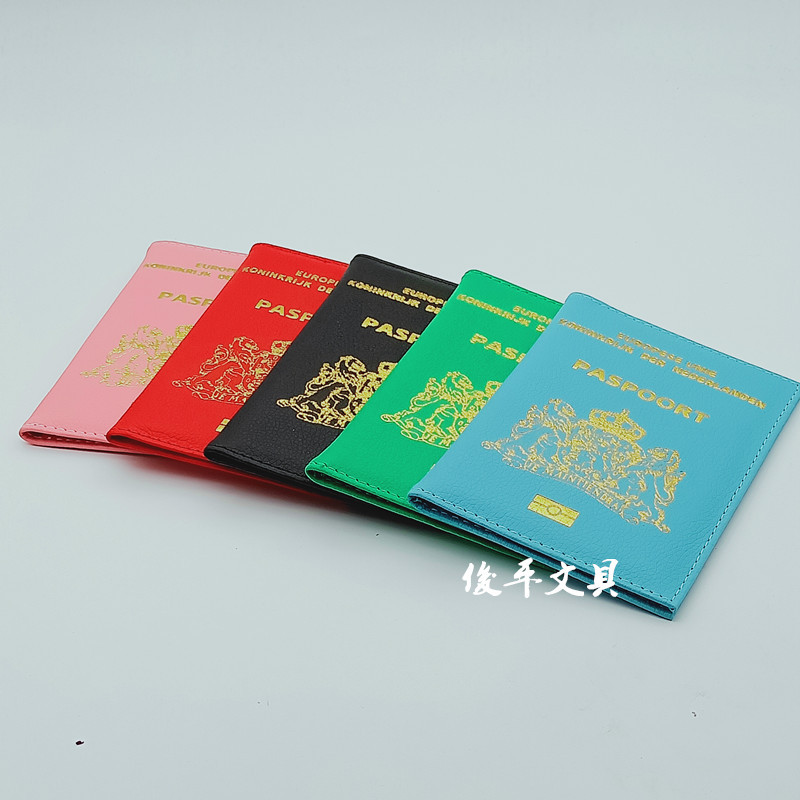 Protective case for traveling