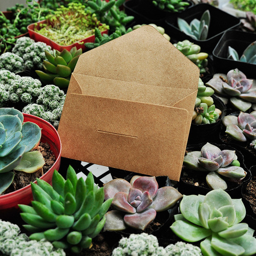 Card envelopes 3 types of Korean creative retro kraft paper business card storage envelopes - mini series Western-style small envelopes