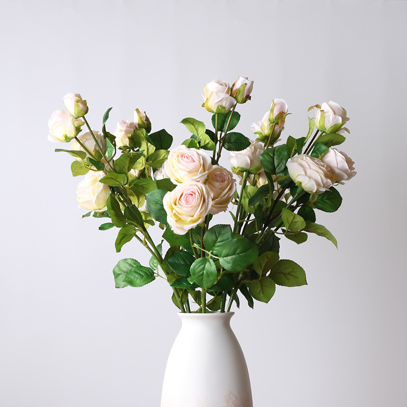 Moderno Rosa mirístico cerámica artesanía florero decoración de escritorio creativo simple hogar suave