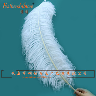 �֗U��ë���r�B��ë75-80cm��c·����ˇ������g�������ݰ�ɫ��