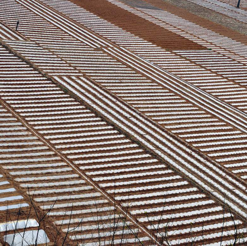 供应塑料制品塑料薄膜塑料包装膜农用膜多功能大棚膜