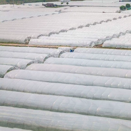 农用薄膜;包装薄膜;功能薄膜