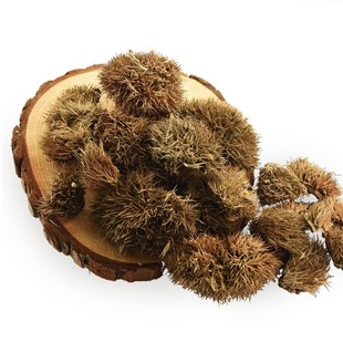 ������ ��ë�� ���̚� �L���� �����⚤ ��ș�����l 1000g��