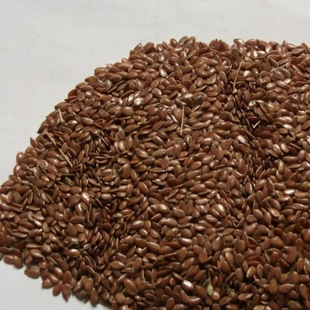 ������ ��ș�����l ������ �������� ������