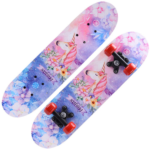 Skateboard for Kids - 4-Wheel Maple Skateboard for Teens - Unisex Dual-Sided Cartoon Skateboard - Model 2406