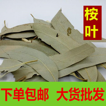 桉树叶云南野生中药材桉树叶 桉叶 蓝桉叶 羊草果叶 正宗包邮
