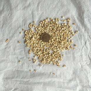 �����d��ș����ș�����l������޲���ʡ�  �F�ݽy؛  �|�����C