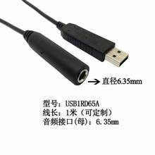 USB_P  Զx IPIֵ 6.35lӿھL1