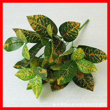 ����׃ɫľС7�^�����S���~ ֲ��@�־G����ļٻ��Gֲ�������~