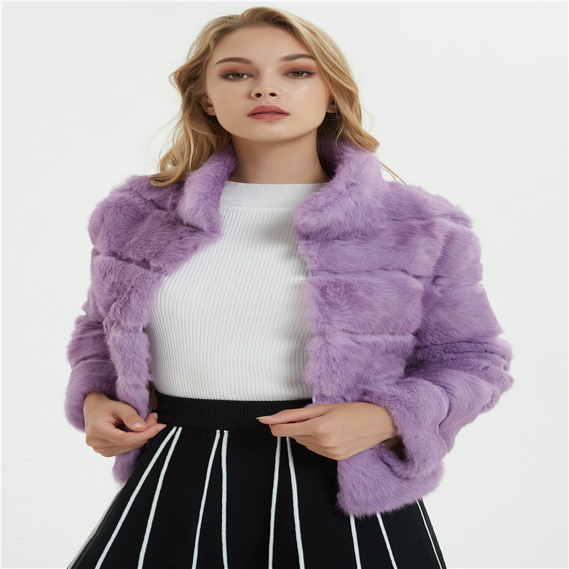New autumn/winter women's fur coat, rabbit fur stand-up collar short top, dropshipping available.