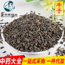 批发现货 牛子 牛蒡子 大力子 中药材大全一站式采购点 诚招代理