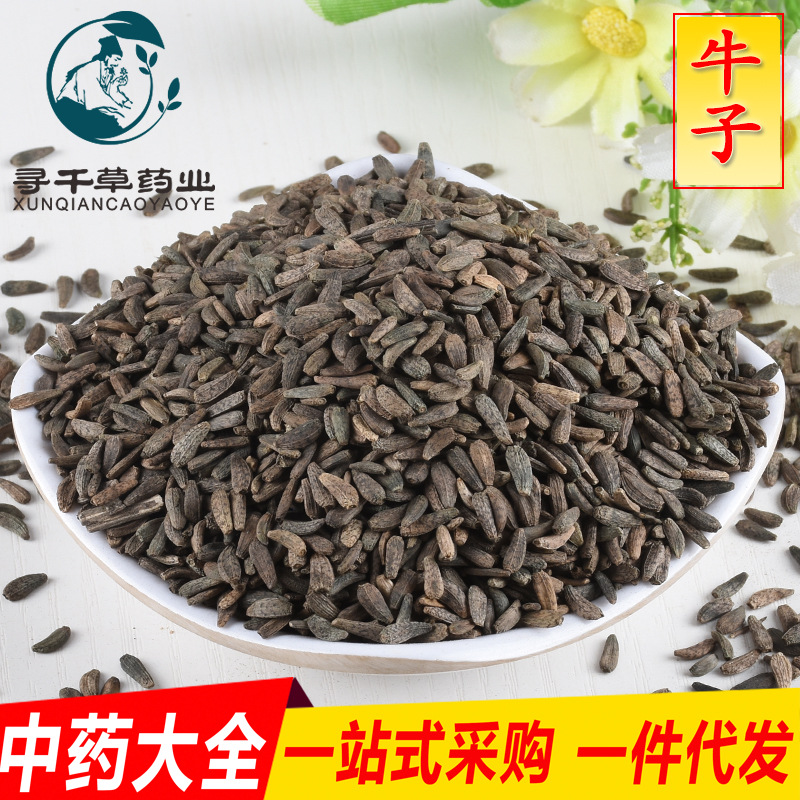 批发现货 牛子 牛蒡子 大力子 中药材大全一站式采购点 诚招代理