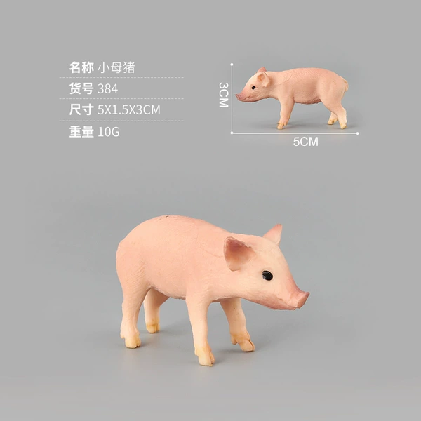 PL127-384 gilt 10g