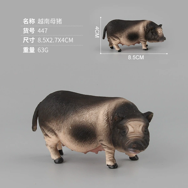 PL127-447 Vietnamese sow 63g