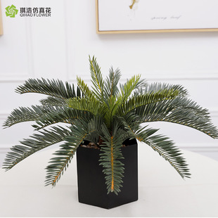 ���ͷ���Gֲ�F�� �҃����Ҭ���ؙ���[�O�Ҿ� �b����F������