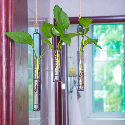 Creative iron glass vase hemp rope pendant living room wall hanging hydroponic pothos plant container hanging wall decoration