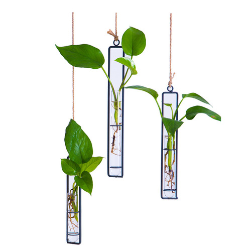 Creative iron glass vase hemp rope pendant living room wall hanging hydroponic pothos plant container hanging wall decoration