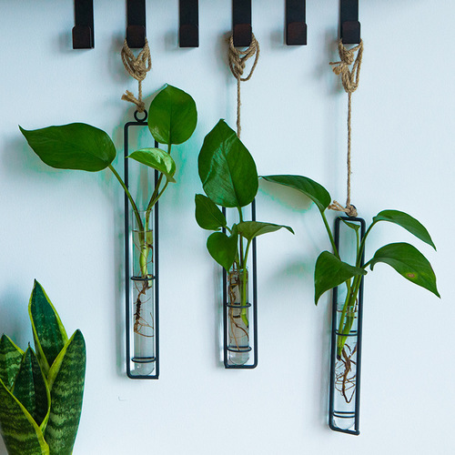Creative iron glass vase hemp rope pendant living room wall hanging hydroponic pothos plant container hanging wall decoration