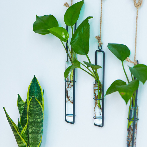 Creative iron glass vase hemp rope pendant living room wall hanging hydroponic pothos plant container hanging wall decoration