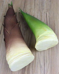 Simulated bamboo shoots, vegetable fake fruits, simulated bamboo shoots, spring bamboo shoots, shooting props, children's teaching fruit model