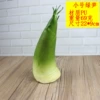 Small green bamboo shoots