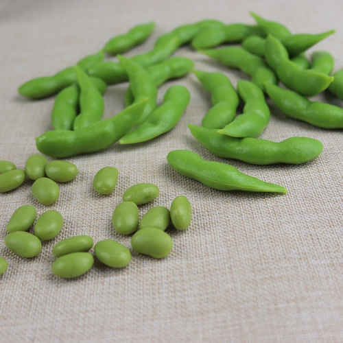 Simulated fruits and vegetables, whole grains, food models, legumes and grains, grain models, simulated edamame and soybeans