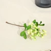 White and green