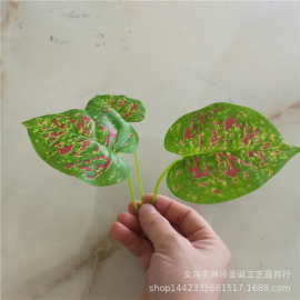 仿真植物仿真花叶配件 三叉过胶布叶子 红点绿萝 植物墙绿植配