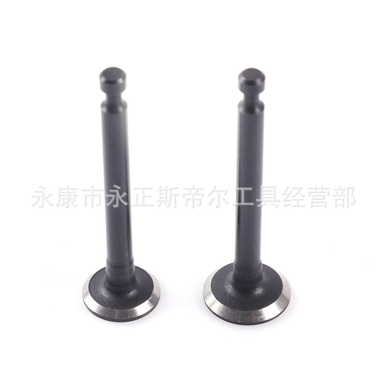 GX25气门（二个1对）