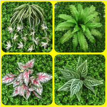 ֲ ϻ ާֲ ˹~ ֲ m