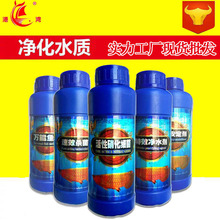 �~����������ˮ���~ș �~�׷�����ˮ��ˮ���������� ˮ����������