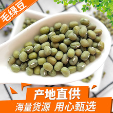 大毛绿豆批发绿豆笨绿豆新货绿豆粥25kg绿豆糕原料五谷杂粮绿豆