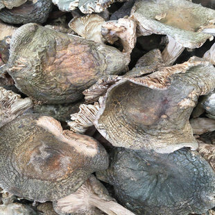 ���^�� �๽ �G���� �蹽  ���ʳ�þ����l ����ֱ�Nһ��؛Դ