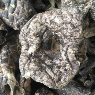 �ڻ��ƾ� ���ƾ� �ܶ�����Ʒ �����������ڻ��� �����lһ��؛Դ