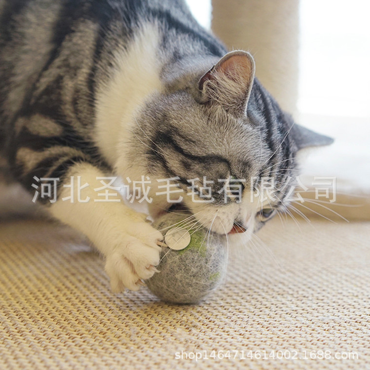 Wool Felt Catnip Hair Ball Pet Cat Snack Wool Ball Ball Toy Gift Box