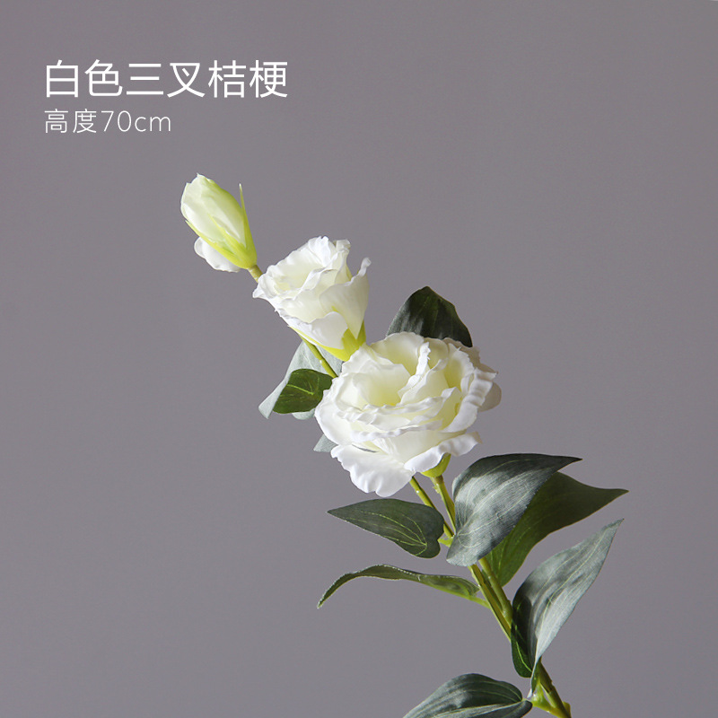 Moderno Rosa mirístico cerámica artesanía florero decoración de escritorio creativo simple hogar suave