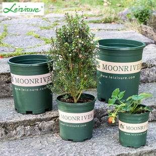 [Gallon Pot] Fashion Joker Meat Planting Gallon Pot Plastic Garden Planting Gallon Pot