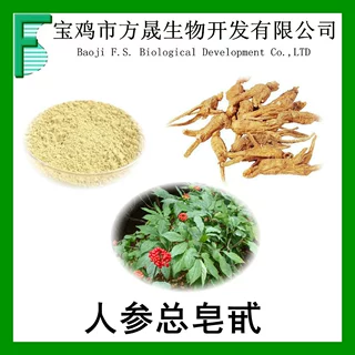 源头厂家供应人参茎叶总皂甙 UV80%  人参茎叶提取物 人参皂苷