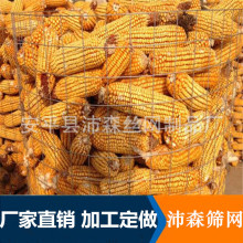 Ȧ���׾W�� ��\늺��W���@�˵؇��ھW�Bֳ�F�z�W �F�z���W