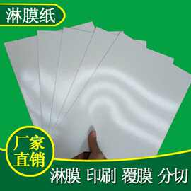 东莞厂家生产250-400克餐盒用淋膜白卡纸平板批发高克重白卡纸