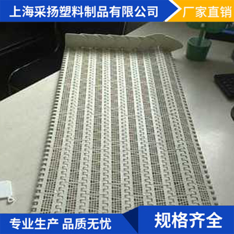 厂家 网带      输送带塑料链板 模块化传送带 塑料网带