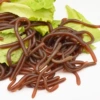 Soft glue earthworm